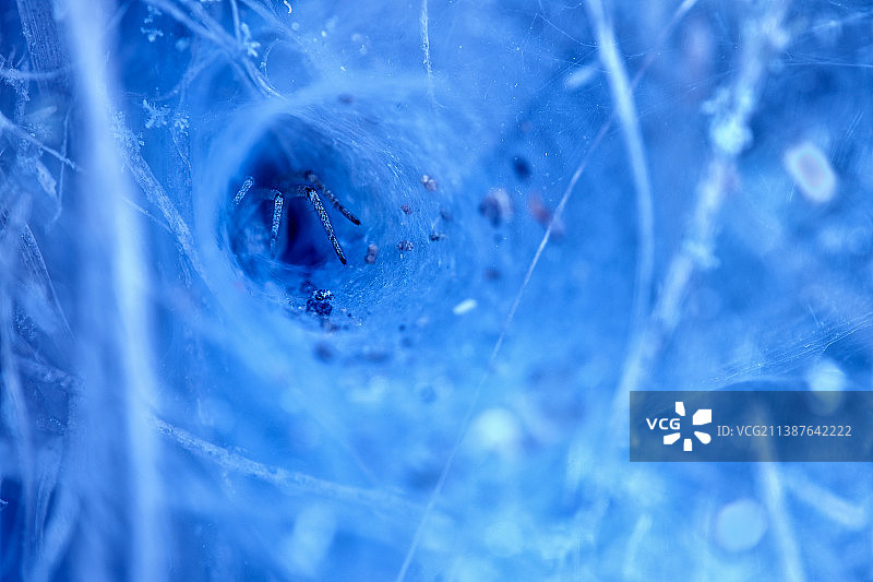 寒冷而危险的丝绸洞穴图片素材