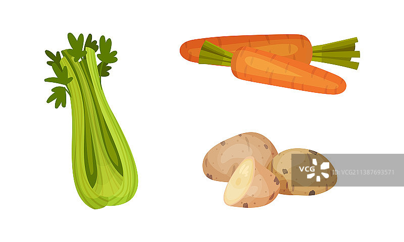 新鲜芹菜土豆和胡萝卜蔬菜图片素材