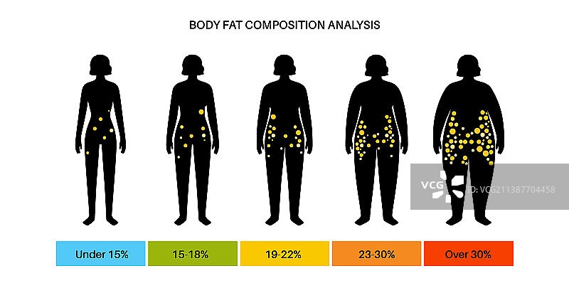 身体脂肪成分图片素材