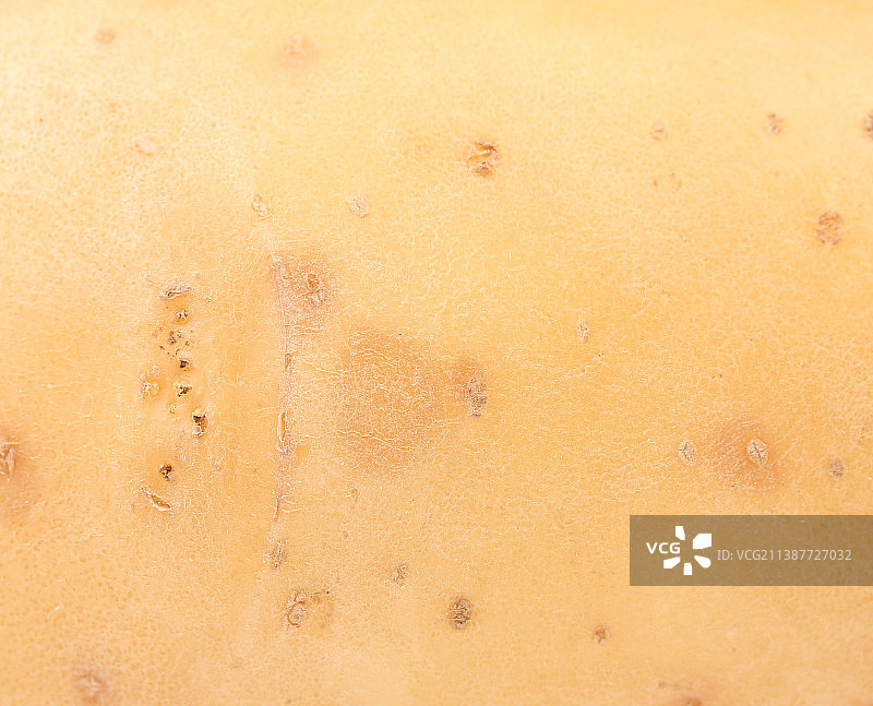 摩尔多瓦的沙子全景照片图片素材