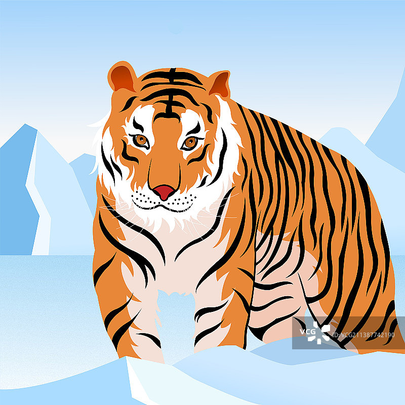 冬日老虎图片素材