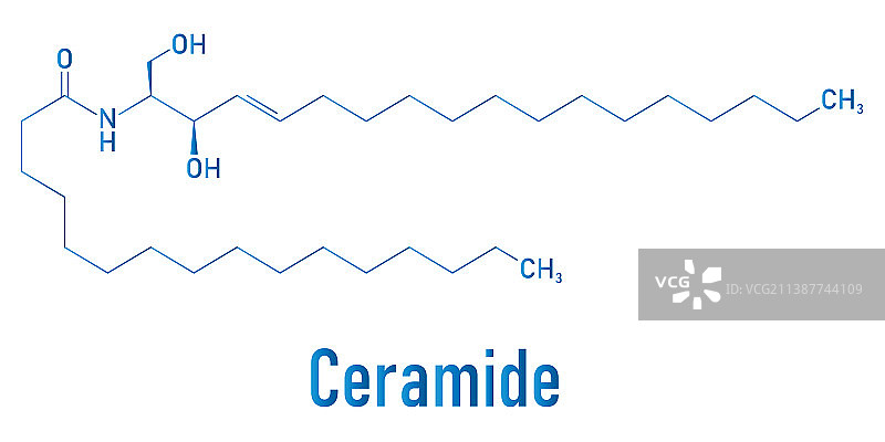神经酰胺分子骨架式图片素材