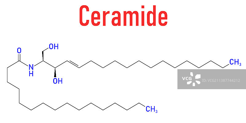 神经酰胺分子骨架式图片素材