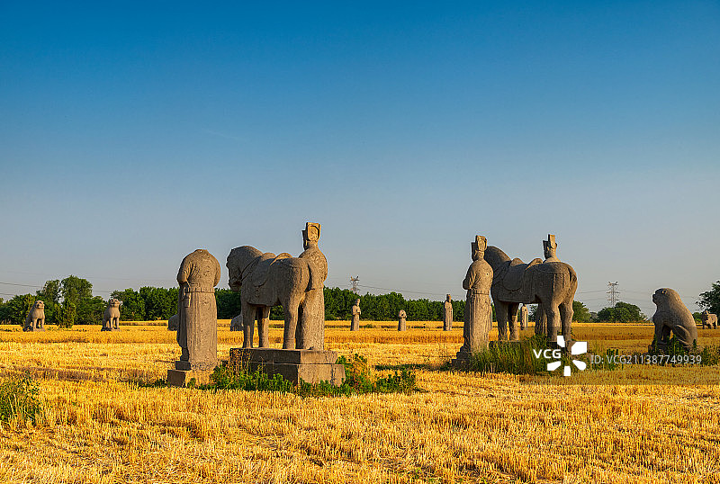 全国重点文物保护单位河南郑州巩义宋陵永泰陵（北宋第七位皇帝哲宗赵煦陵墓）石像生与成熟的麦田夏季户外风图片素材