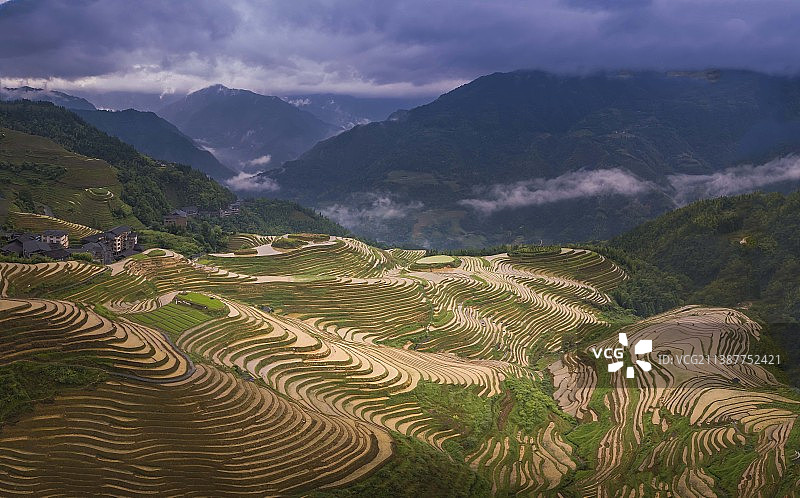 龙脊梯田图片素材