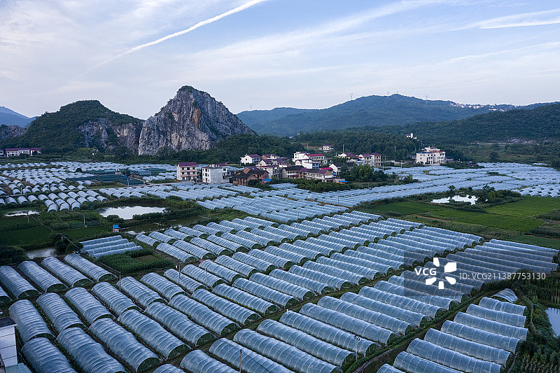 废弃采石场边的西瓜大棚图片素材