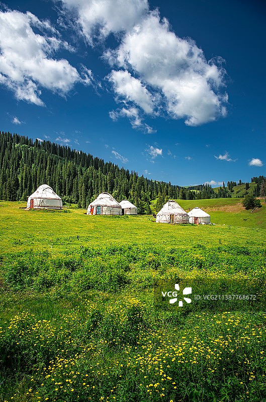 那拉提河谷草原图片素材