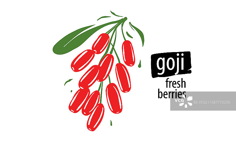 白色背景上的手绘枸杞图片素材