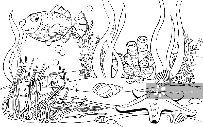 热带鱼和珊瑚的水下场景图片素材