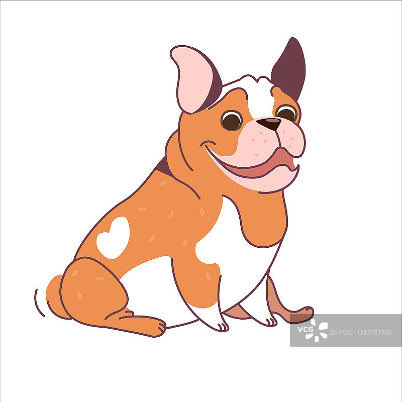 姜黄色法国斗牛犬图片素材