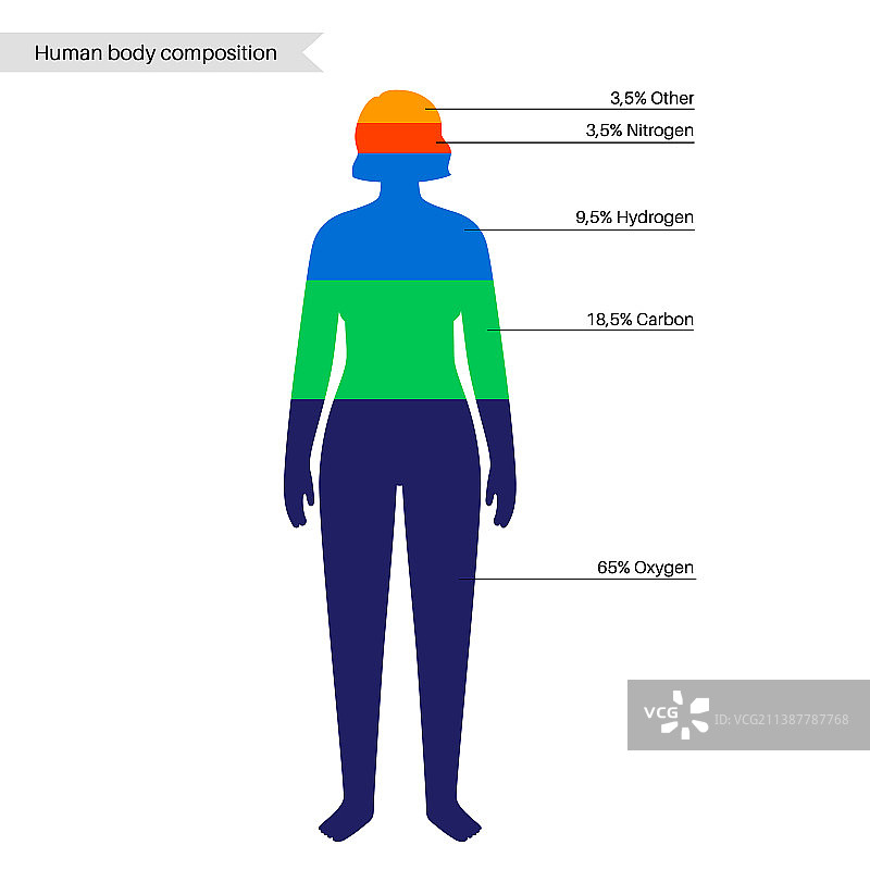 人体构成图片素材