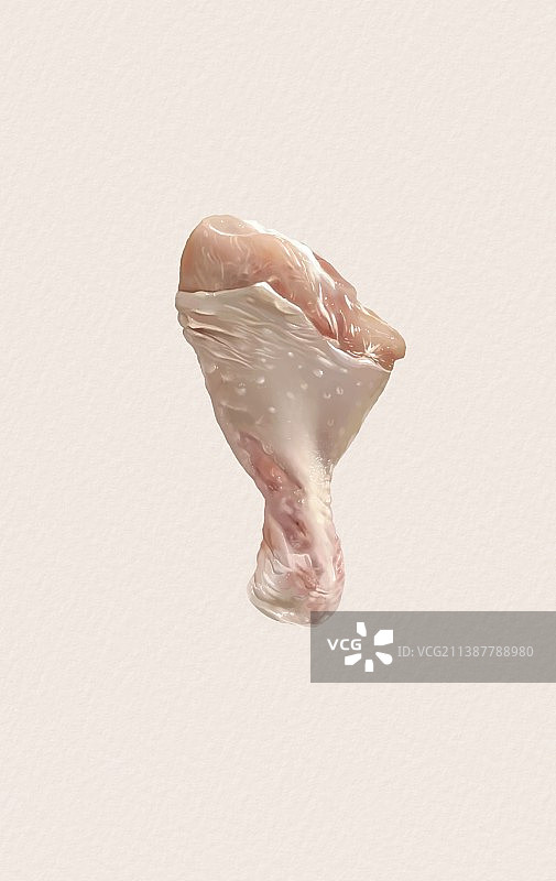 肉食动物图片素材