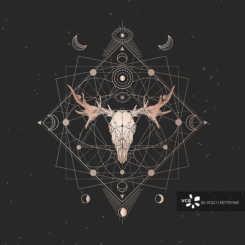 驼鹿头骨和几何符号图片素材