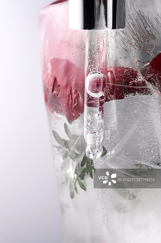 冰冻鲜花大冰块上的移液管图片素材