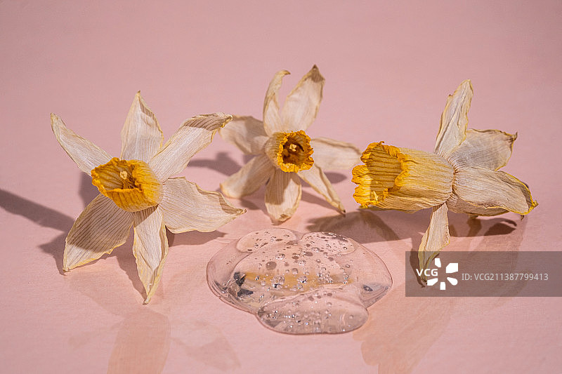 精华液上的干水仙花图片素材