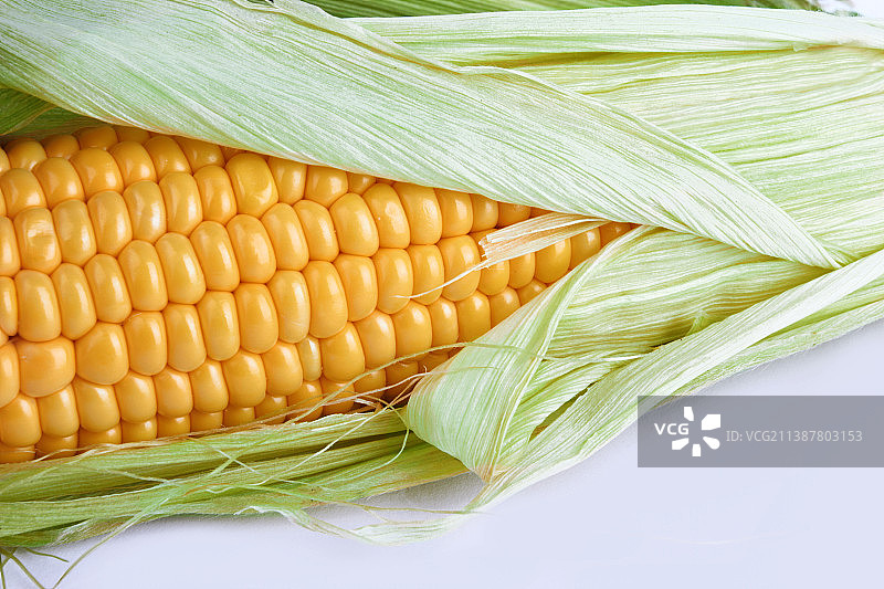 玉米棒特写图片素材