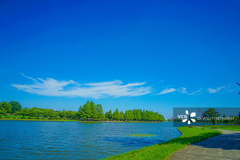 水元公园森林与蓝天图片素材