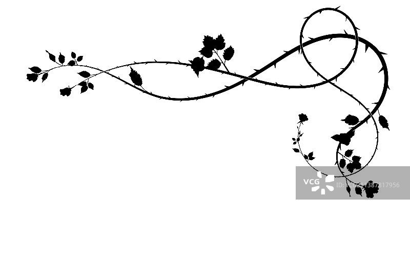 玫瑰花及其叶子花纹图案图片素材