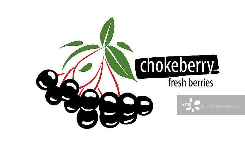 白背景上的野樱莓绘画素材图片素材