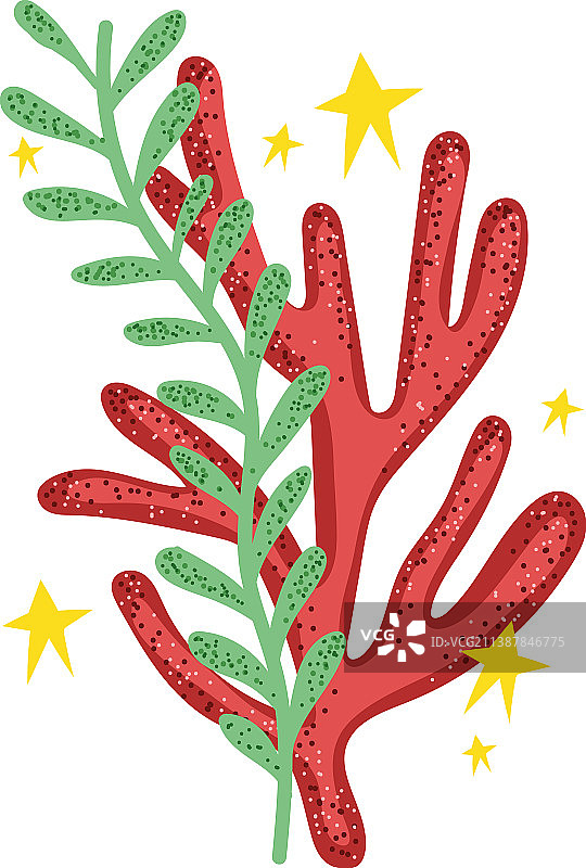 海洋珊瑚海藻图片素材