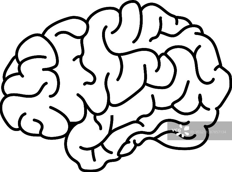 扁平风格人脑侧视图涂鸦图片素材