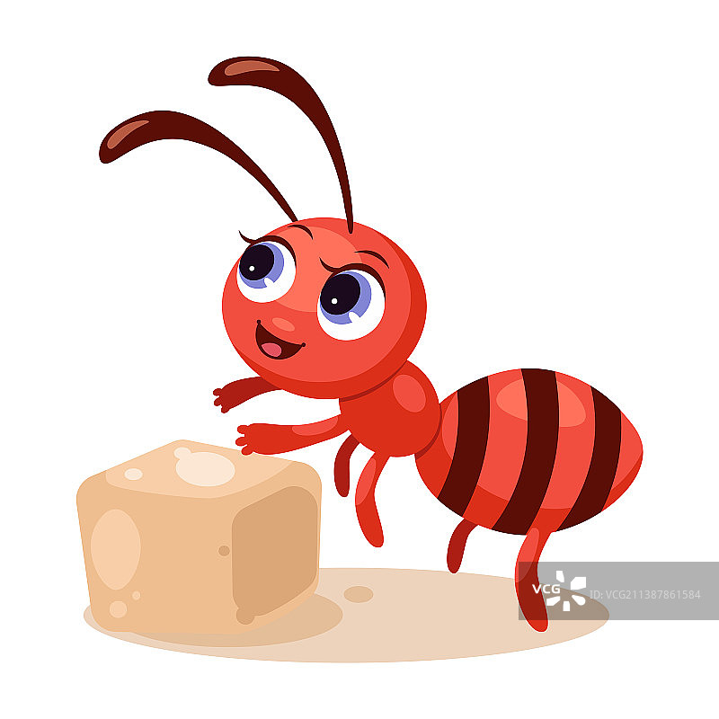 有糖的蚂蚁图片素材
