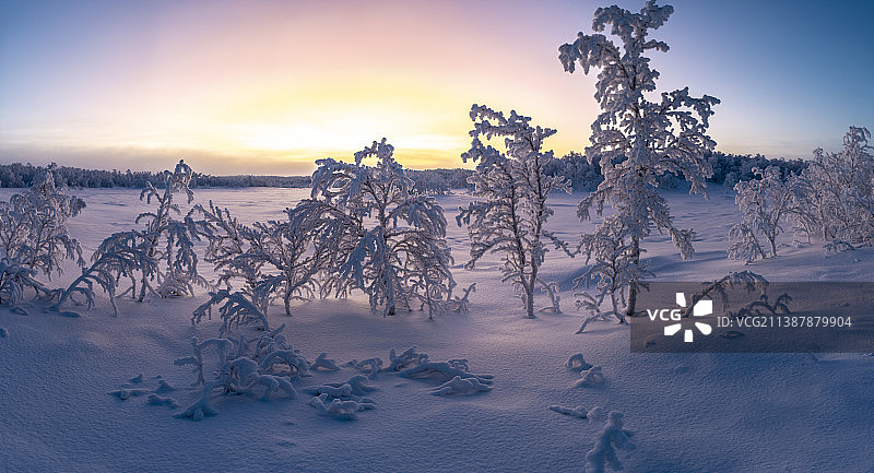 日落时分，挪威希尔克内斯雪地上的树木图片素材