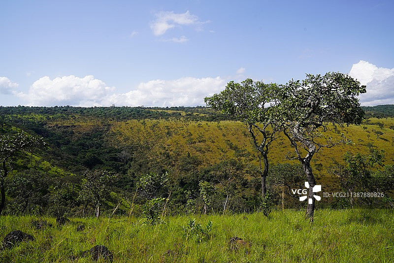 布隆迪田野树木天空景色图片素材