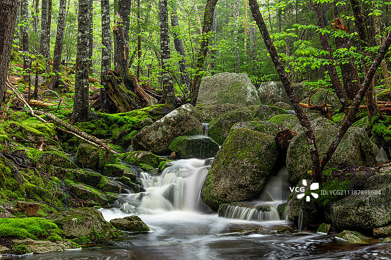 加拿大的圣玛格丽特湾源头森林瀑布风景图片素材