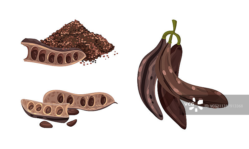 成熟的豆角植物，甜豆荚，有机健康图片素材