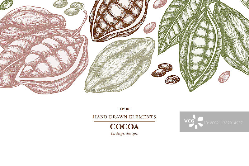 粉色可可豆设计图片素材