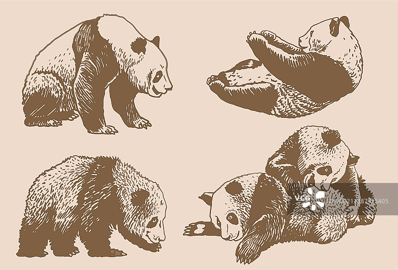 复古熊猫图形集合图片素材