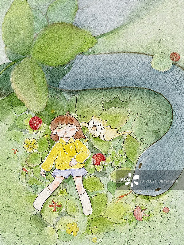 植物探索家系列 蛇莓图片素材