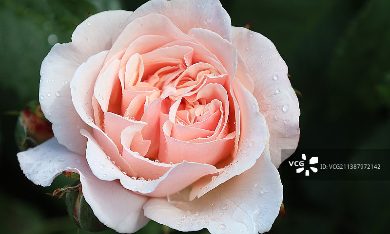 宝贝别哭，一切都会好起来的图片素材