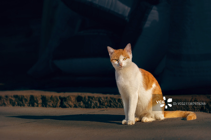 小小警察图片素材