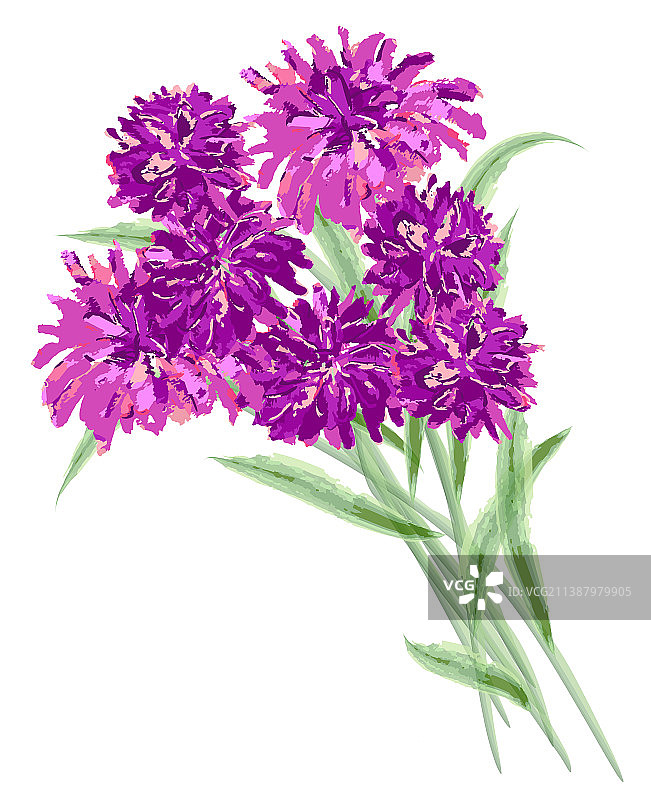 水彩粉色鲜花花束绘画图片素材