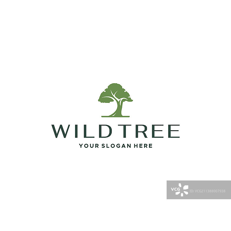 现代野生树木植物叶柄logo设计图片素材