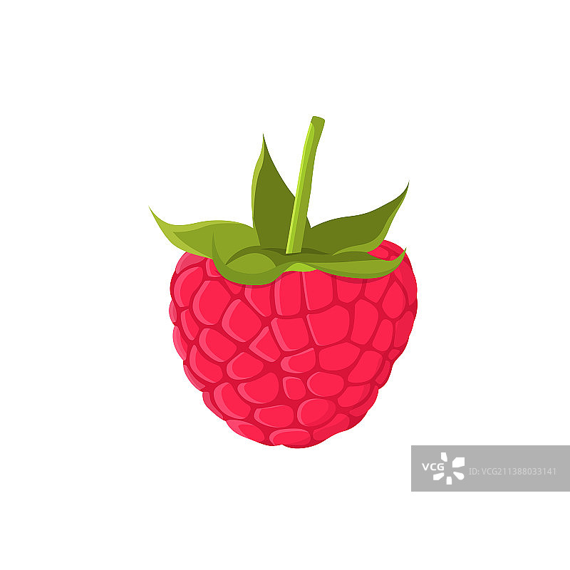 覆盆子背景扁平风格设计图片素材