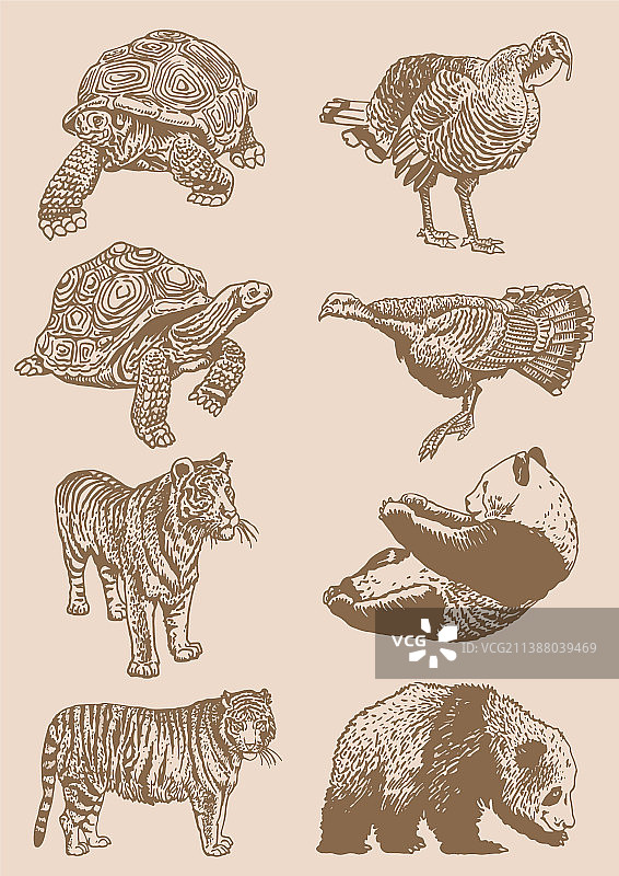 复古动物图形合集图片素材