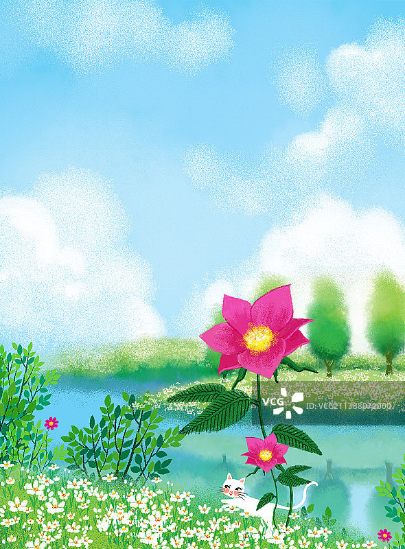 夏季河流边的盛开的花图片素材