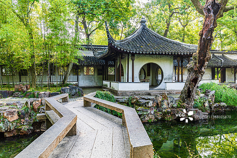 江苏苏州园林拙政园夏季风光图片素材