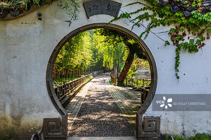 江苏苏州园林拙政园夏季风光图片素材