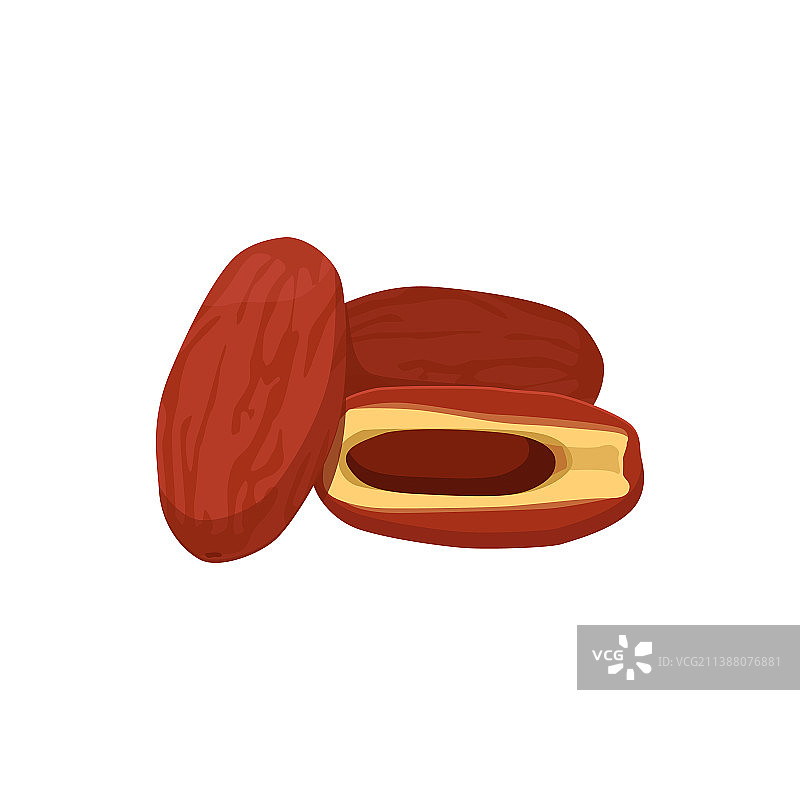 扁平风格的椰枣果实图片素材