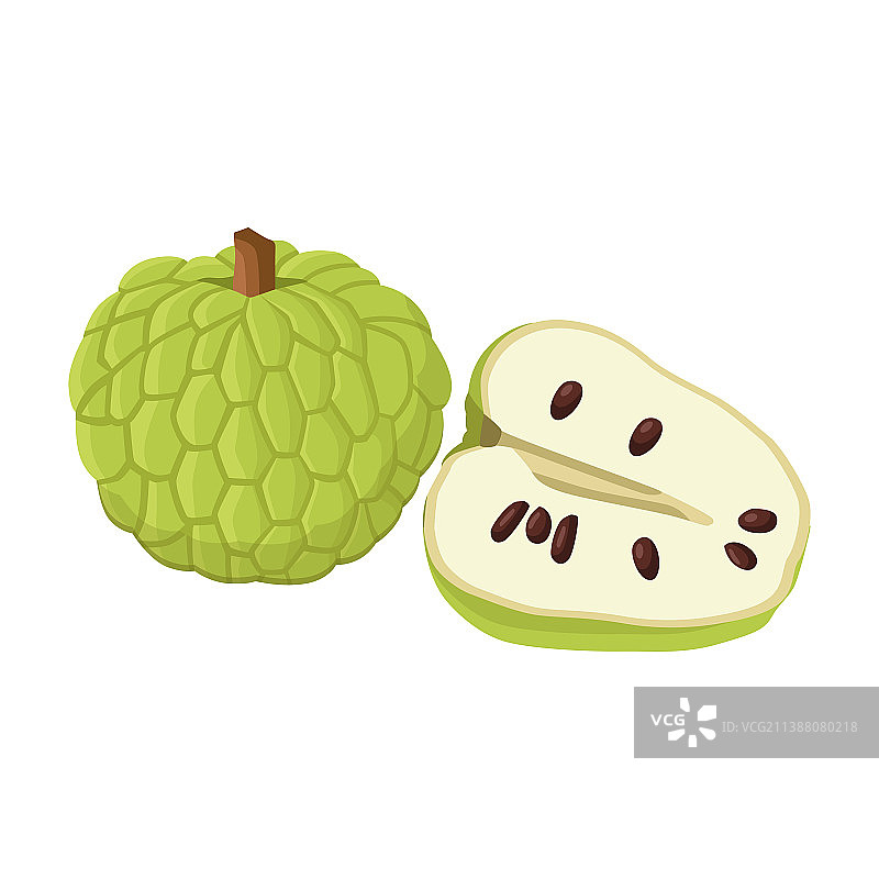 番荔枝扁平风格图片素材