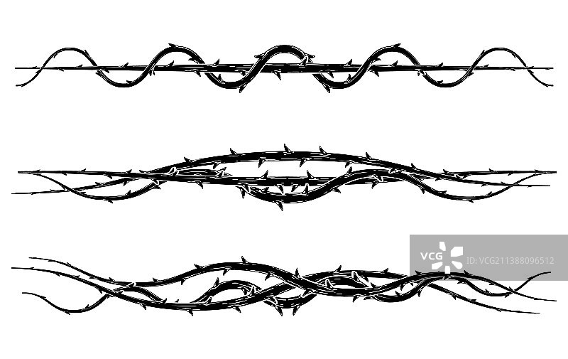 带刺黑刺李树枝套装图片素材