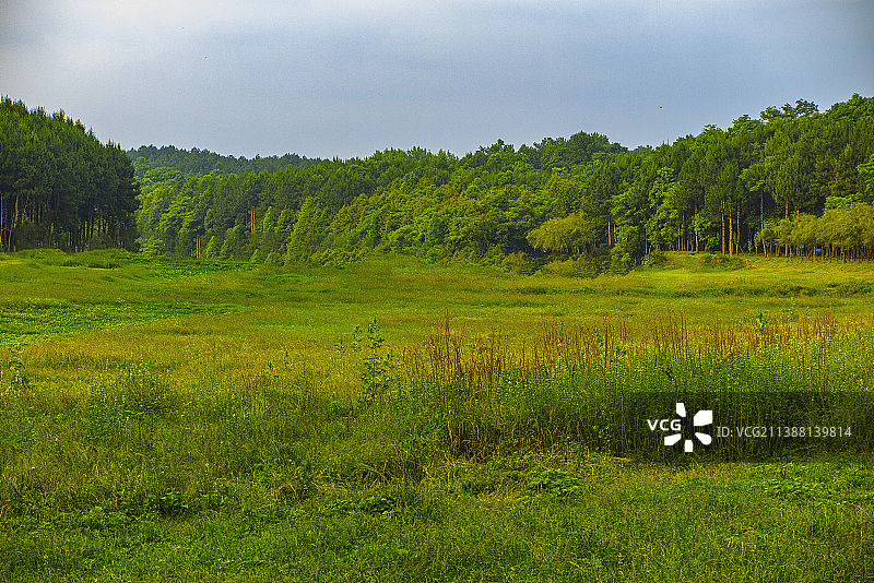 中国贵州贵阳市天鹅湖风景区大草坪图片素材