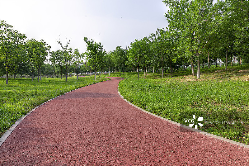 穿过公园绿色草地的健身塑胶跑道图片素材