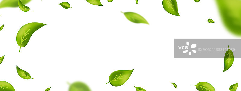 飞舞的绿叶，清新茶叶背景图片素材
