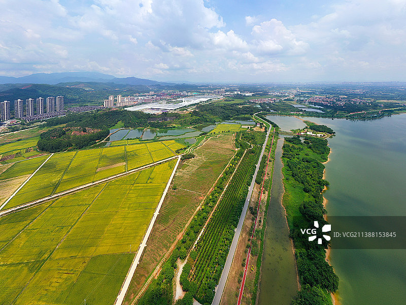 广东省广州市增城区增江画廊与鹤之洲湿地公园航拍图片素材