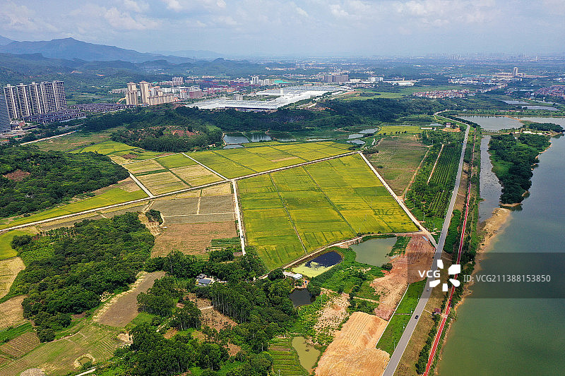 广东省广州市增城区增江画廊与鹤之洲湿地公园航拍图片素材